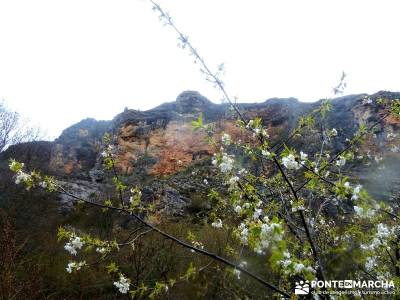 Barranco Río Dulce; senderismo wikipedia; excursiones de verano;travesias senderismo